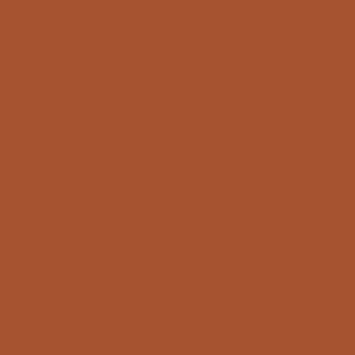 rust color pantone