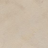 Meoded Buff swatch