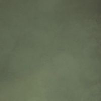 Meoded Olive swatch