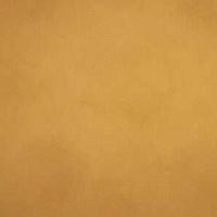 Meoded Deep Gold swatch